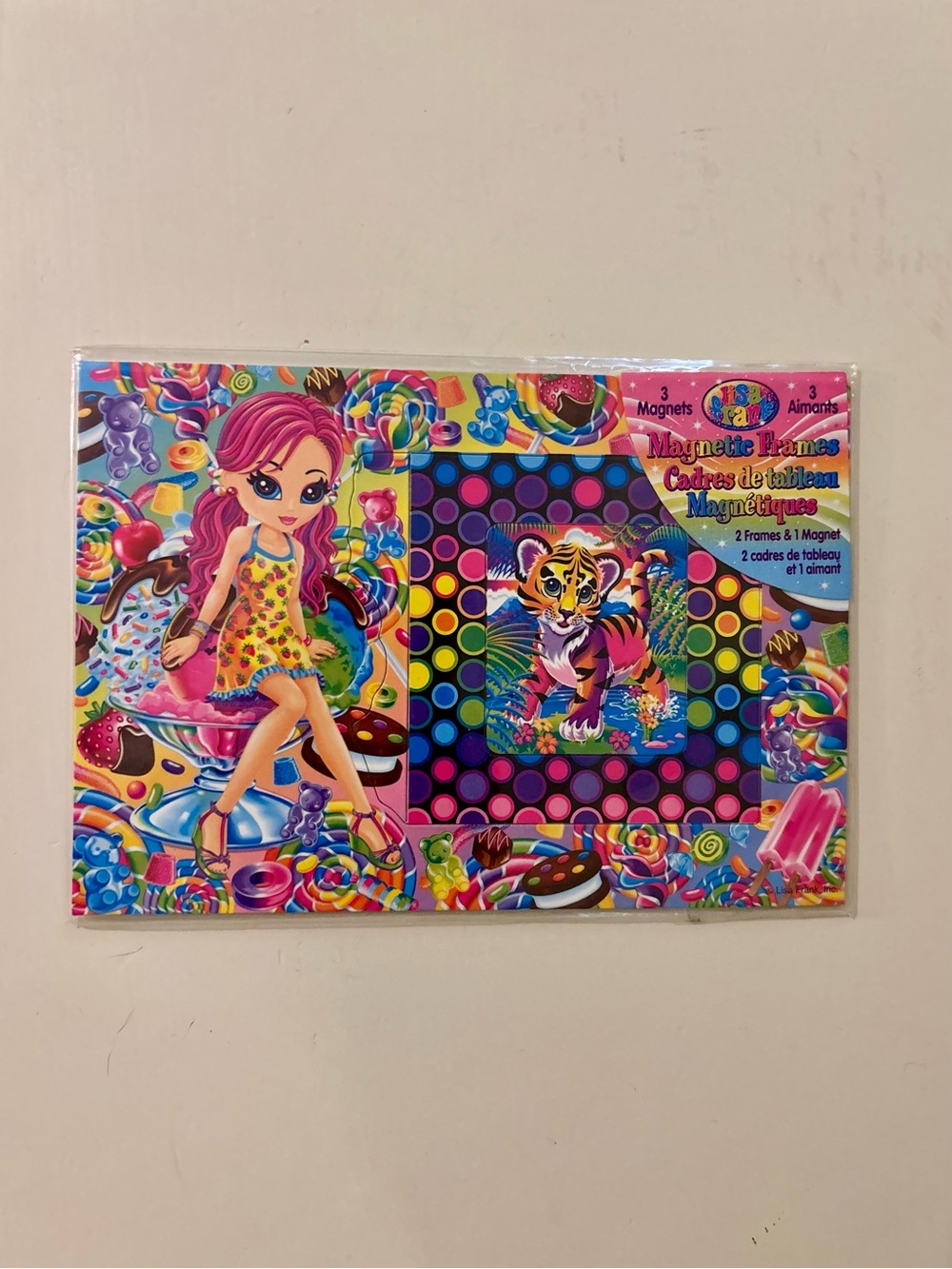 Vintage Lisa Frank Magnetic Frames Room Decor